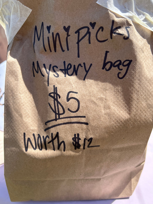 Mini Mystery Grab Bag